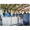 08-10-12_wul-cup2008_04.jpg
